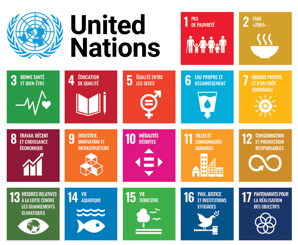 Infographie des Nations Unies sur les 17 objectifs du développement durable. L'infographie présente les 17 objectifs du développement durable des Nations Unies : 1 : pas de pauvreté 2 : faim zéro 3 : bonne santé et bien-être 4 : éducation de qualité 5 : égalité entre les sexes 6 : eau propre et assainissement 7 : énergie propre et d'un coût abordable 8 : travail décent et croissance économique 9 : industrie, innovation et infrastructure 10 : inégalités réduites 11 : villes et communautés durables 12 : consommation et production responsables 13 : mesures relatives à la lutte contre les changements climatiques 14 : vie aquatique 15 : vie terrestre 16 : paix, justice et institutions efficaces 17 : partenariats pour la réalisation des objectifs